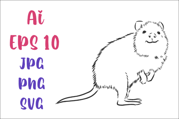 Download Kwoka Kangaroo Vector Sketch - Kangaroo Collection
