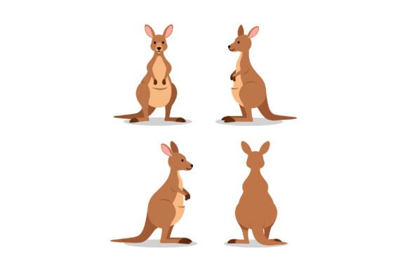 Download Kangaroo Vector Illustration in Four Dif - Kangaroo Collection