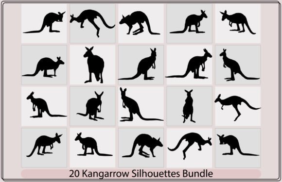 Download Kangaroo Vector Silhouette - Kangaroo Collection