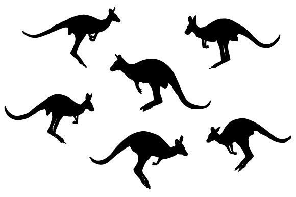 Download Kangaroo Vector Design - Kangaroo Collection