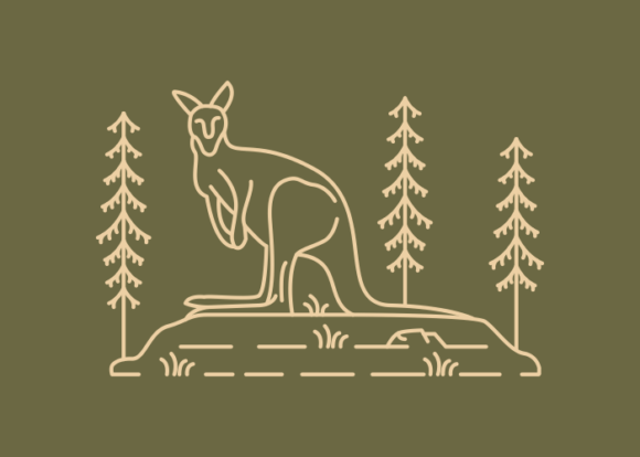 Download Wild Kangaroo Australian Animal - Kangaroo Collection