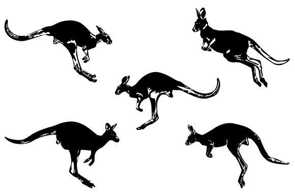 Download Kangaroo Vector Graphic Design - Kangaroo Collection