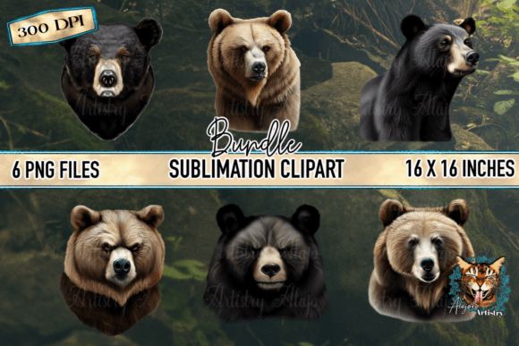 Download Realistic Bear Graphic Bundle - Graphic Collection